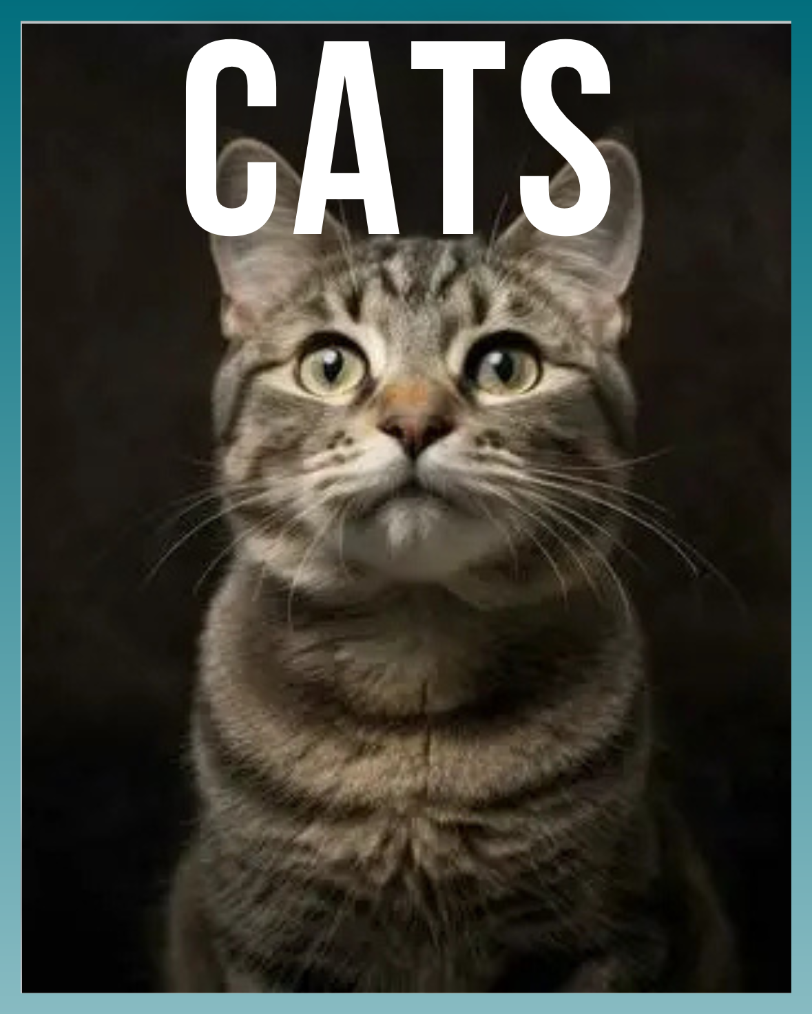 Cats