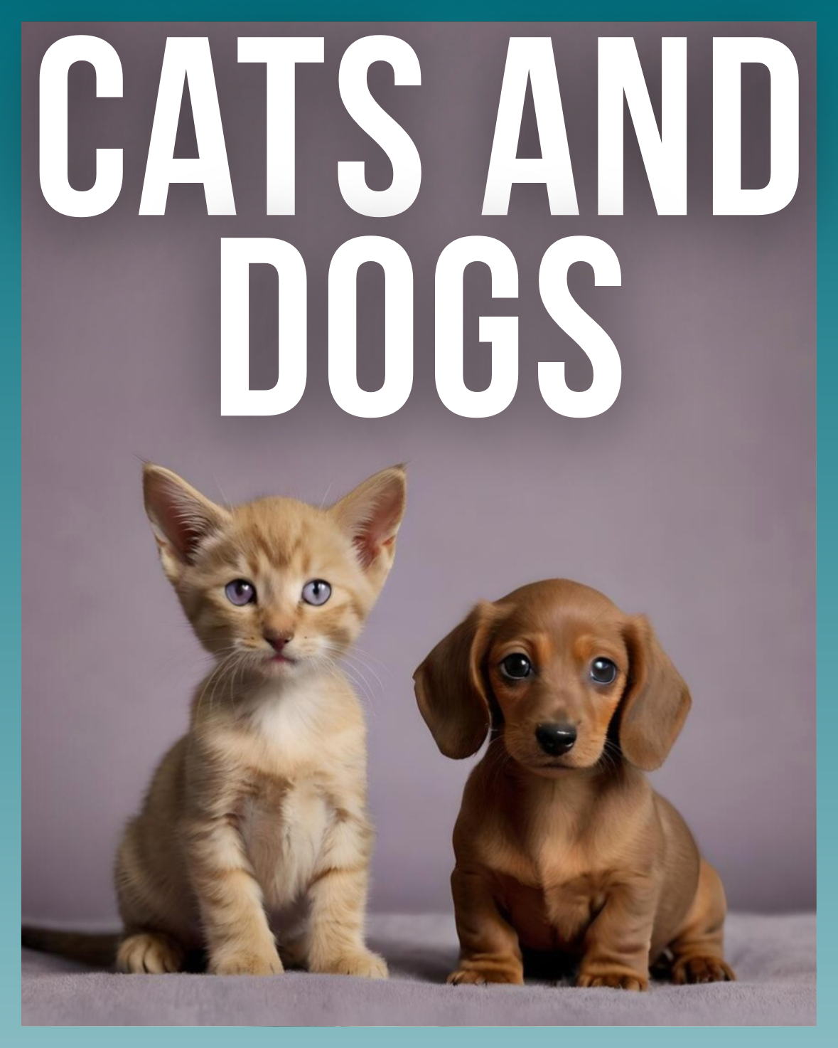 Cats & Dogs